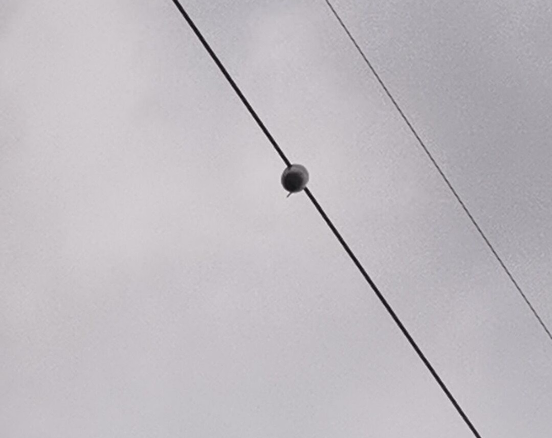 特力康输电线路微弧垂在线监测系统——山西电力公司大跨越输电线路安全升级工程案例