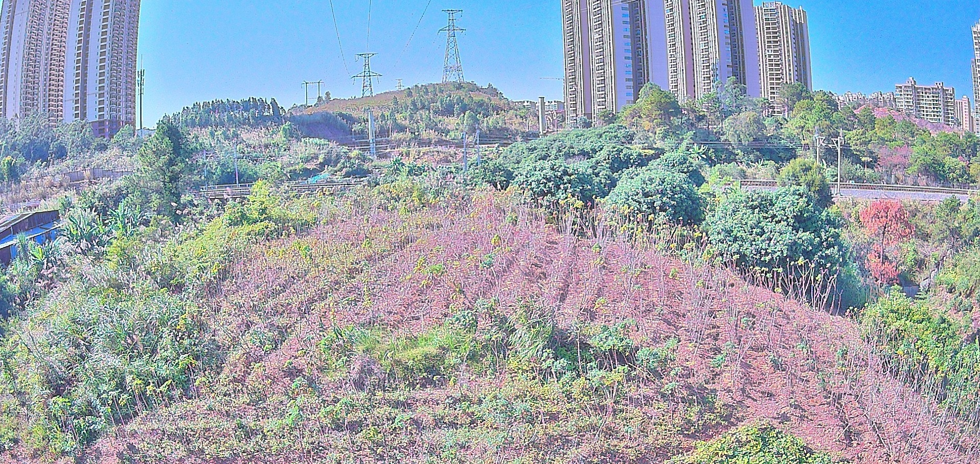 四川电力公司安装应用输电线路通道可视化图像监测装置后，快速准确地识别出线路故障和异常情况