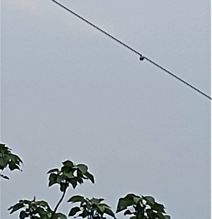 电网线路弧垂监测装置